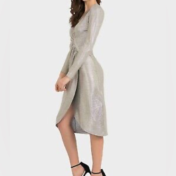 Joseph Ribkoff Silver Dress - Picture 4 of 9